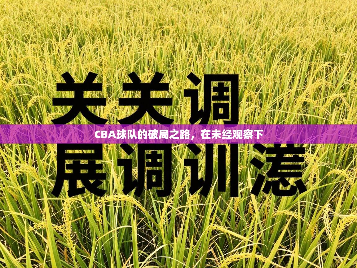 CBA球队的破局之路，在未经观察下  第2张
