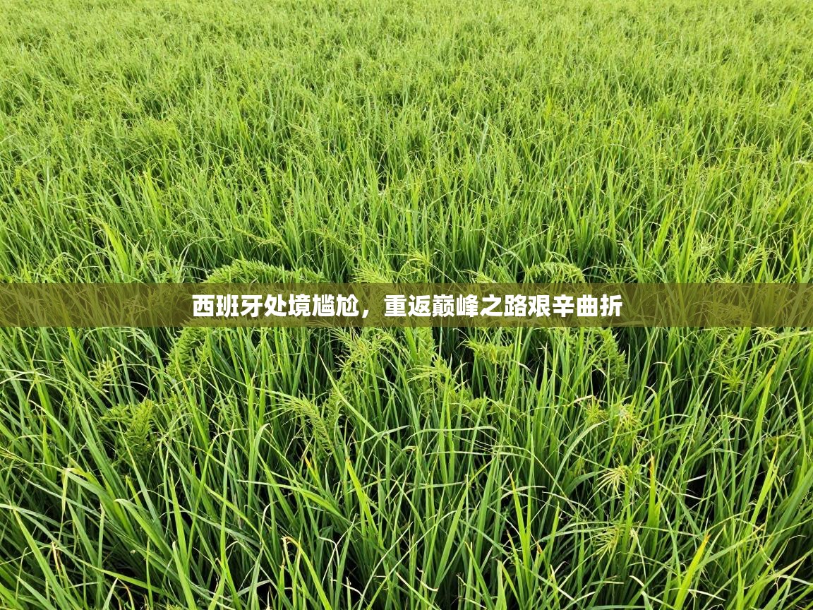 西班牙处境尴尬，重返巅峰之路艰辛曲折  第1张